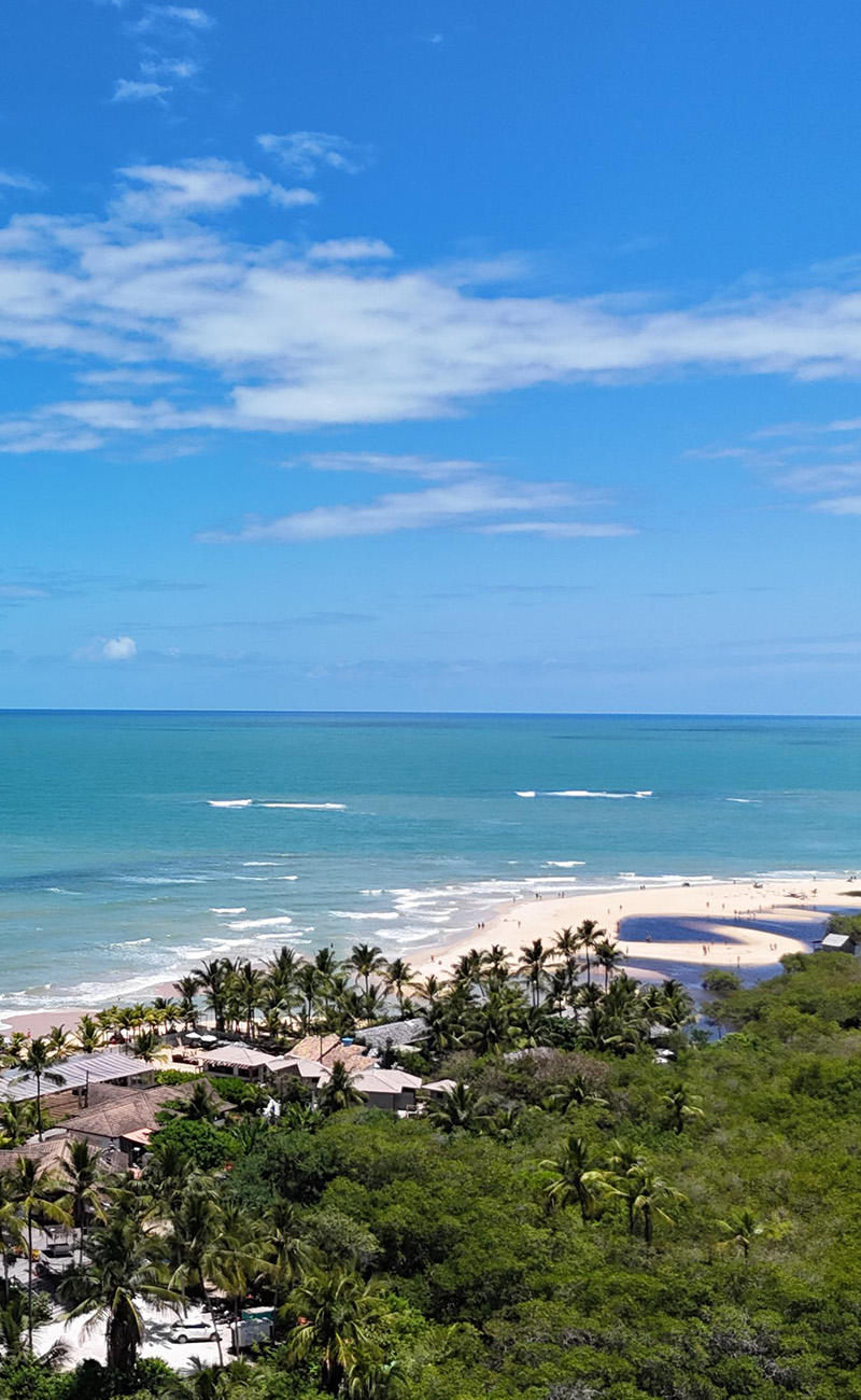 WhatsApp Image 2025-02-06 at 13.26.36 (1) copiar